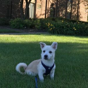 Meet your Posher, Ken